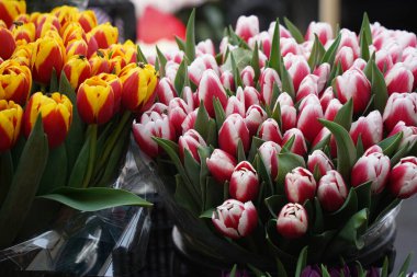 Almaty, Kazakistan - 06.03.2023: Tatilden önce farklı çiçek buketleri indirimde.