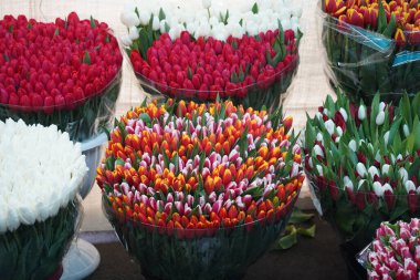 Almaty, Kazakistan - 06.03.2023: Tatilden önce farklı çiçek buketleri indirimde.