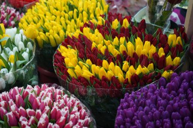 Almaty, Kazakistan - 06.03.2023: Tatilden önce farklı çiçek buketleri indirimde.