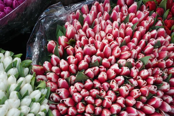 stock image Almaty, Kazakhstan - 06.03.2023 : Different bouquets of flowers on sale before the holidays.