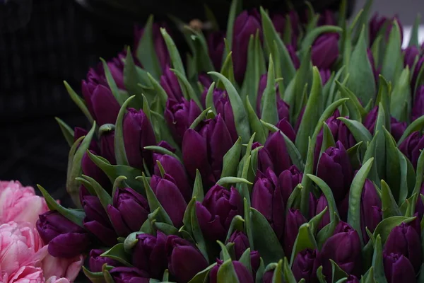 stock image Almaty, Kazakhstan - 06.03.2023 : Different bouquets of flowers on sale before the holidays.