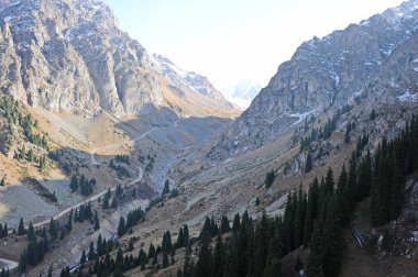 Dağlarda farklı ağaçlar ve kozalaklı ağaçlar var..