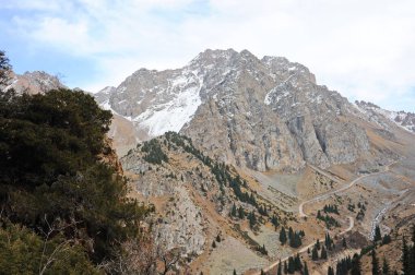 Dağlarda farklı ağaçlar ve kozalaklı ağaçlar var..