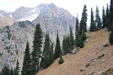 Dağlarda farklı ağaçlar ve kozalaklı ağaçlar var..