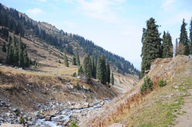 Dağlarda farklı ağaçlar ve kozalaklı ağaçlar var..