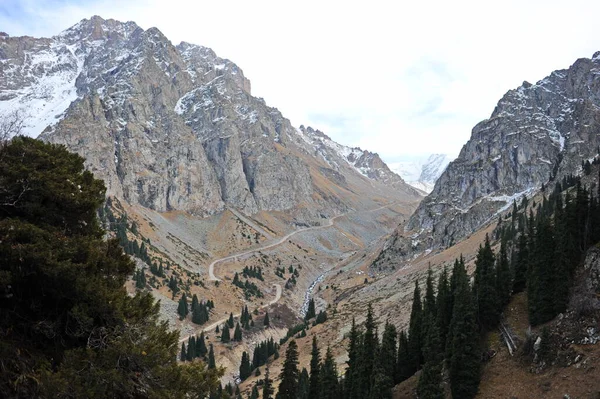 Cordilleras Con Diferentes Árboles Abetos Coníferas — Foto de Stock