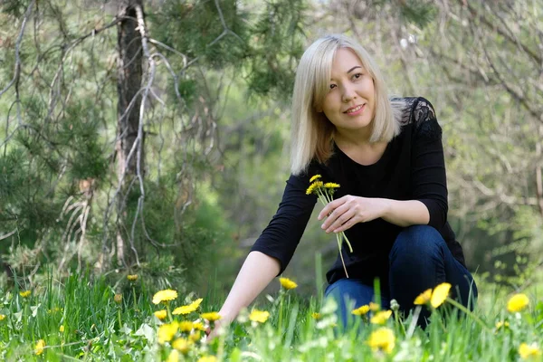 stock image A young woman collects dandelions in nature.