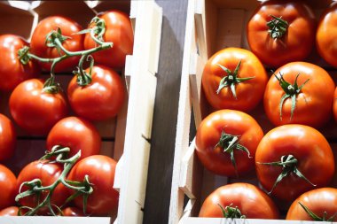 Satılık ahşap kutularda taze seçilmiş domatesler.