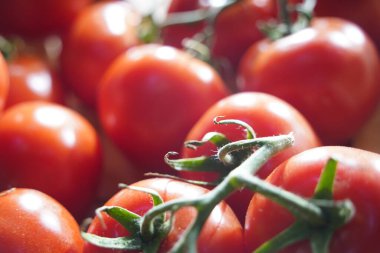 Satılık ahşap kutularda taze seçilmiş domatesler.