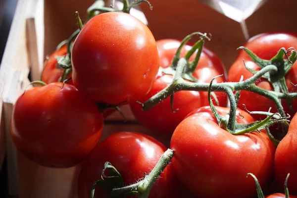 stock image Fresh selected tomatoes in wooden boxes on sale.