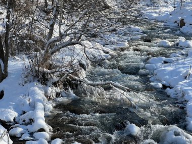 Kışın dağlık bir bölgede bir nehir. Fırtınalı bir dere.