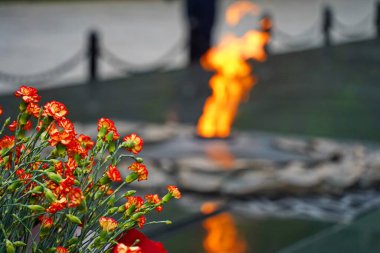 Sonsuz ateşin arka planında çiçekler. Anma Günü, 9 Mayıs.