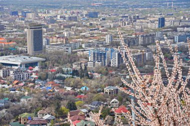 Almaty, Kazakistan - 04.07.2025: Kazakistan otelinin manzarası ve şehrin farklı mimarisi.