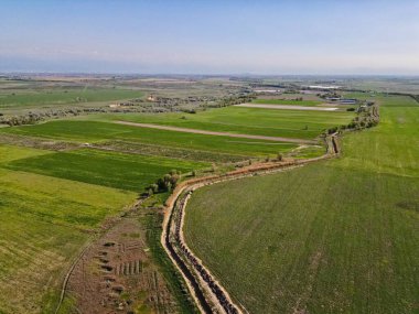 Büyük tarlalar dolusu mahsul ve otlayan hayvanlar. Bahar. Manzara...