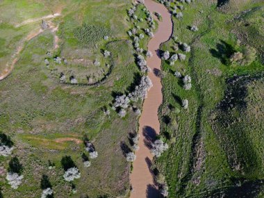 Nehir ekin ekmek ve otlayan hayvanlar için büyük bir tarladır. Bahar. İnsansız hava aracının görüntüsü.