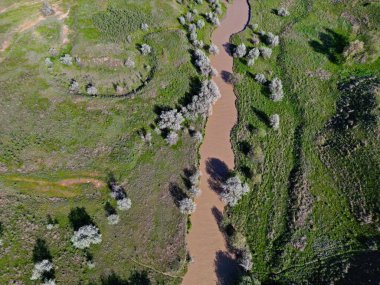 Nehir ekin ekmek ve otlayan hayvanlar için büyük bir tarladır. Bahar. İnsansız hava aracının görüntüsü.