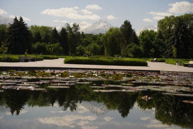 Botanik bahçesindeki nilüfer havuzu..