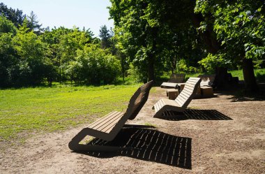 Botanik bahçesinde dinlenmek için bir bank..