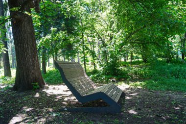 Botanik bahçesinde dinlenmek için bir bank..