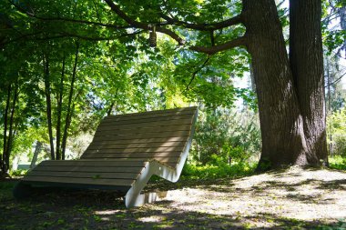 Botanik bahçesinde dinlenmek için bir bank..