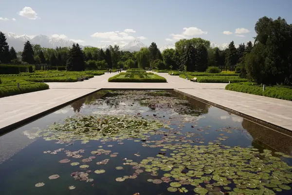Botanik bahçesindeki nilüfer havuzu..