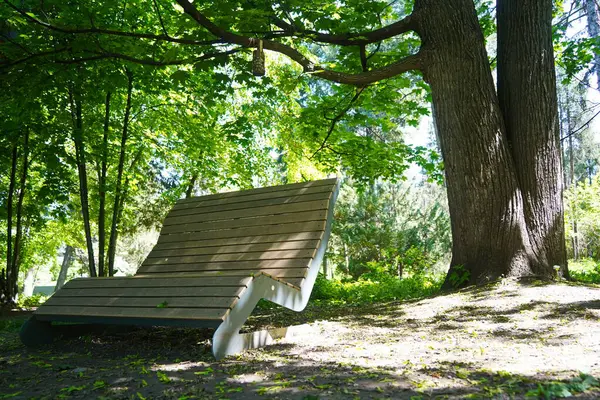 Botanik bahçesinde dinlenmek için bir bank..