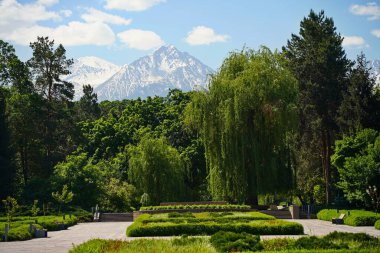 Dağların arkasındaki botanik bahçesi.