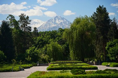 Dağların arkasındaki botanik bahçesi.