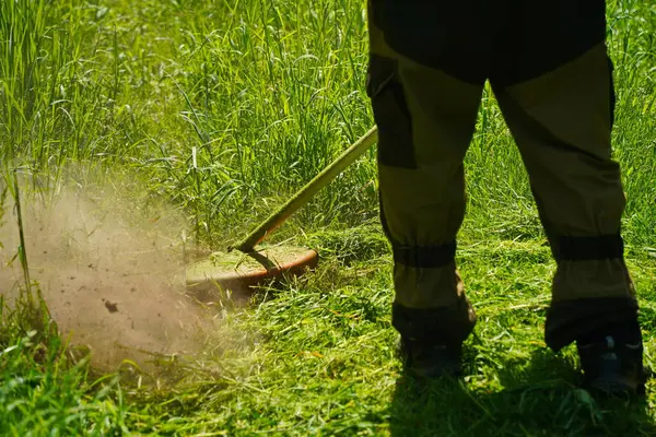 Bir işçi botanik bahçesindeki çimleri biçiyor..