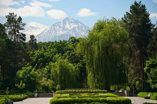 Dağların arkasındaki botanik bahçesi.