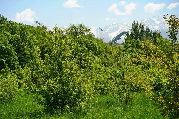 Dağların arkasındaki botanik bahçesi.