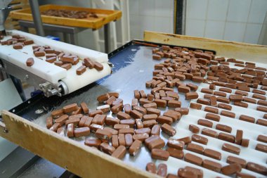 Taşıyıcı banttaki çikolatalar. Fabrika.