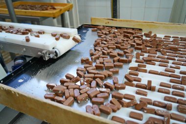Taşıyıcı banttaki çikolatalar. Fabrika.