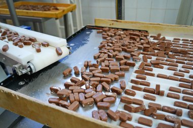 Taşıyıcı banttaki çikolatalar. Fabrika.