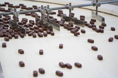 Taşıyıcı banttaki çikolatalar. Fabrika.