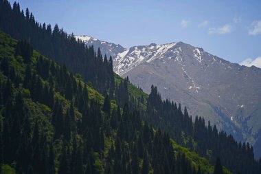 Aksai Boğazı. Farklı bitki örtüsü olan dağlık bir bölge. Tian Shan Dağları.