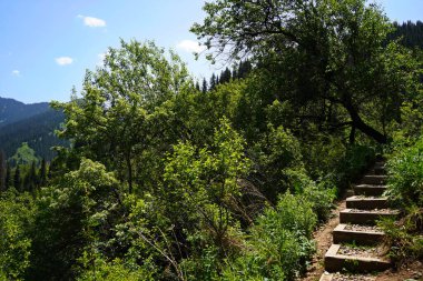 Merdivenler turistlerin tırmanıp inmesi için. Aksai Boğazı. Dağlı.