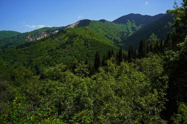 Aksai Boğazı. Farklı bitki örtüsü olan dağlık bir bölge. Tia