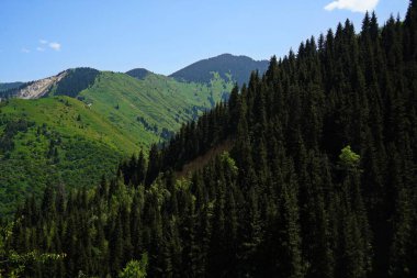 Aksai Boğazı. Farklı bitki örtüsü olan dağlık bir bölge. Tia