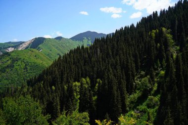 Aksai Boğazı. Farklı bitki örtüsü olan dağlık bir bölge. Tian Shan Dağları.