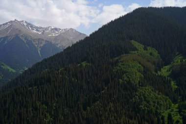 Aksai Boğazı. Farklı bitki örtüsü olan dağlık bir bölge. Tian Shan Dağları.