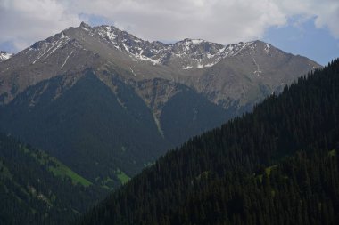 Aksai Boğazı. Farklı bitki örtüsü olan dağlık bir bölge. Tian Shan Dağları.