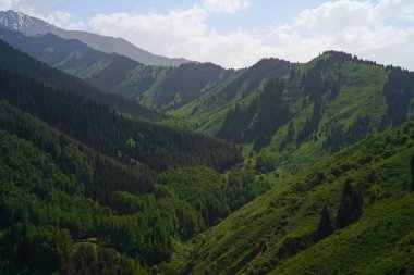 Aksai Boğazı. Farklı bitki örtüsü olan dağlık bir bölge. Tian Shan Dağları.