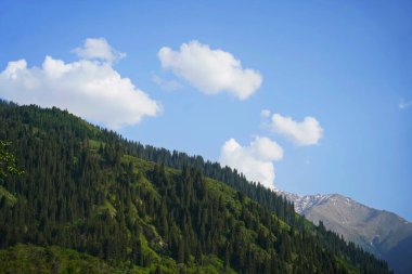 Aksai Boğazı. Farklı bitki örtüsü olan dağlık bir bölge. Tian Shan Dağları.