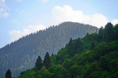 Aksai Boğazı. Farklı bitki örtüsü olan dağlık bir bölge. Tian Shan Dağları.