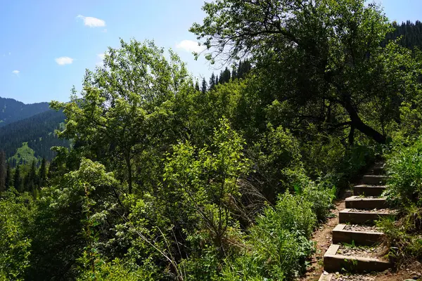 Merdivenler turistlerin tırmanıp inmesi için. Aksai Boğazı. Dağlı.