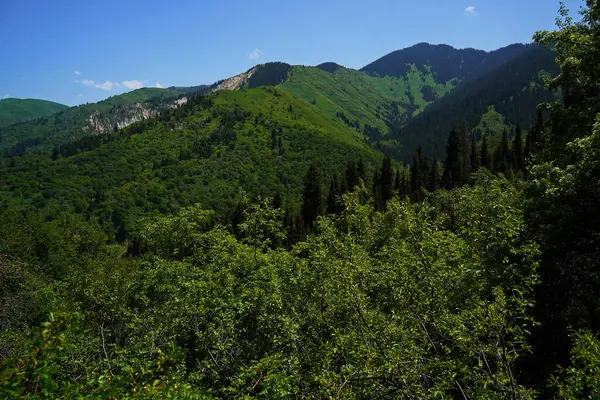 Aksai Boğazı. Farklı bitki örtüsü olan dağlık bir bölge. Tia