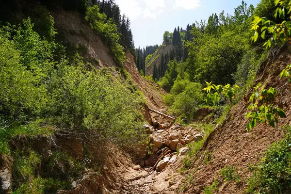 Aksai Boğazı. Farklı bitki örtüsü olan dağlık bir bölge. Tian Shan Dağları.