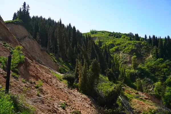 Aksai Boğazı. Farklı bitki örtüsü olan dağlık bir bölge. Tian Shan Dağları.