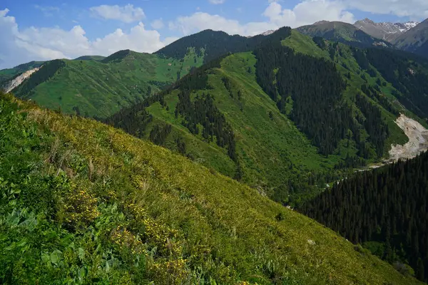 Aksai Boğazı. Farklı bitki örtüsü olan dağlık bir bölge. Tian Shan Dağları.